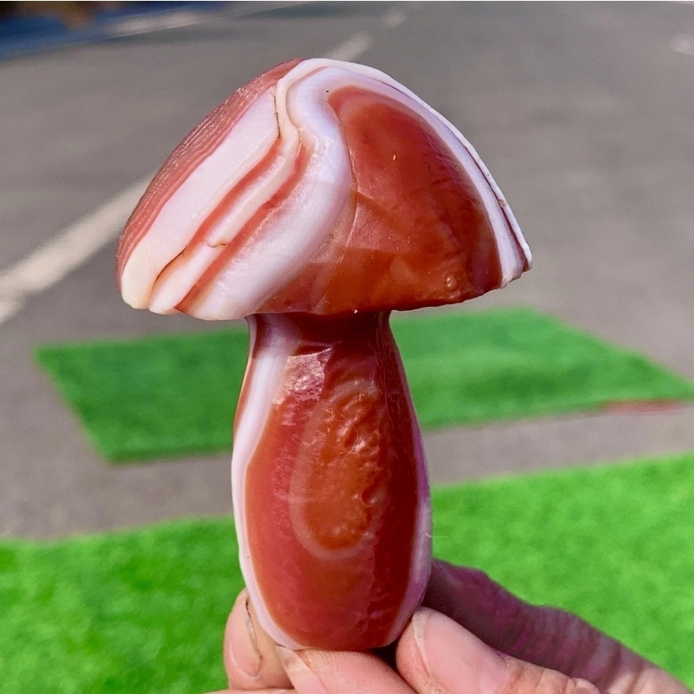 112G Natural Gemstone Red White Gobi Agate Stone Hand Carved Mushroom Madagascar